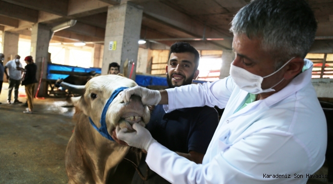  RİZE KURBAN PAZARINDA YENİ NORMALLER..