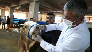  RİZE KURBAN PAZARINDA YENİ NORMALLER..