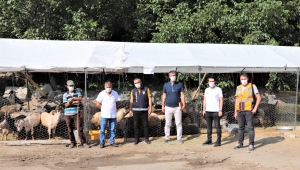 Yusufeli Belediyesi'nden kurban pazarına hergün denetim