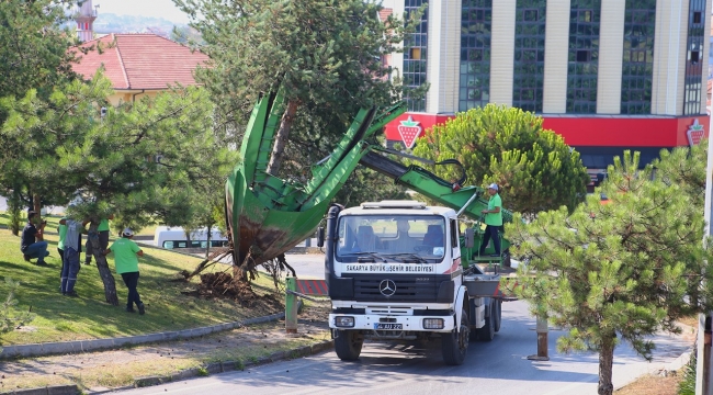 Büyükşehir o proje sahasındaki ağaçları koruma altına alıyor