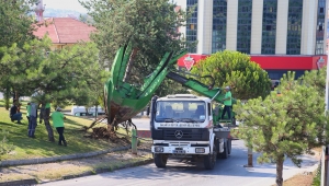 Büyükşehir o proje sahasındaki ağaçları koruma altına alıyor