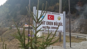 Şehit Eren Bülbül’ün anısına dikilen fidanlar büyüyor