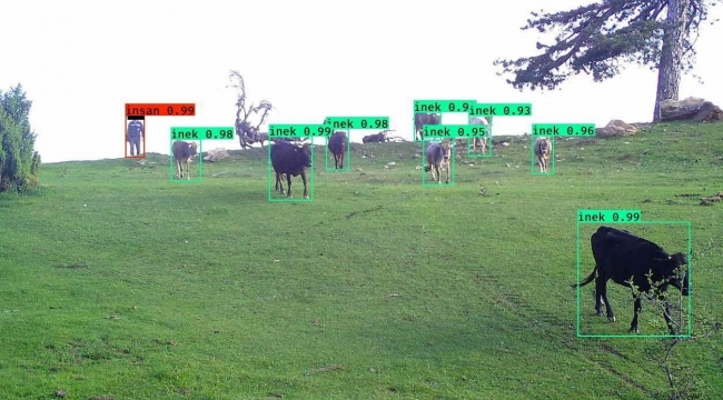 3 Bin Fotokapan Av Peşinde