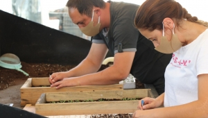 Safranbolu'nun refüjlerini menekşeler süsleyecek