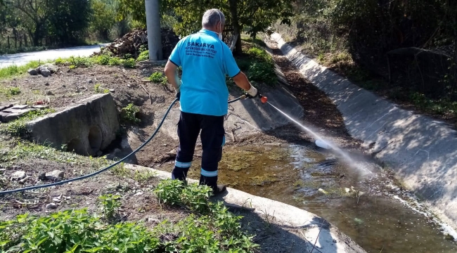 Sapanca’da Asya Kaplan Sivrisineğine karşı mücadele