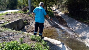 Sapanca’da Asya Kaplan Sivrisineğine karşı mücadele