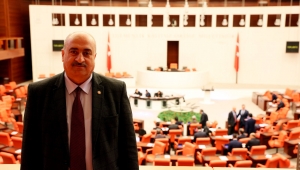 Tecrübesiz danışmanlar tepki çekiyor