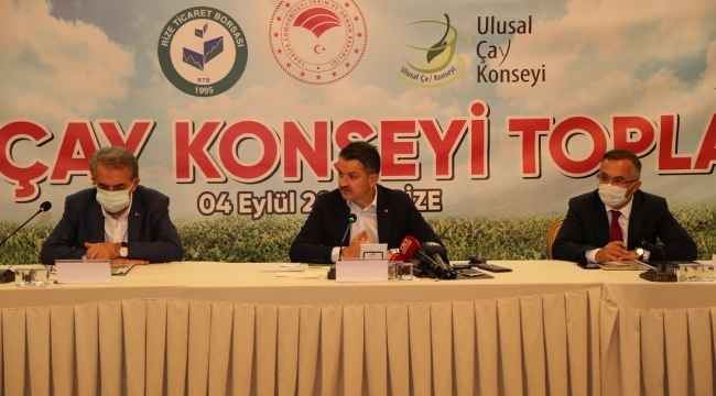 Ulusal Çay Konseyi Toplantısı Gerçekleştirildi