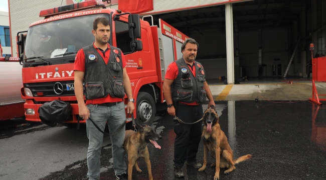 K9’lar arama kurtarma çalışmaları için İzmir’e gidiyor