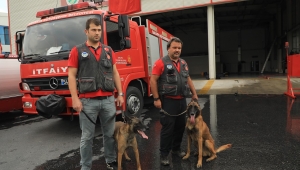 K9’lar arama kurtarma çalışmaları için İzmir’e gidiyor