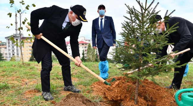 TRABZON’DA 40 BİN FİDAN DİKİLDİ