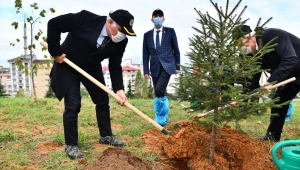 TRABZON’DA 40 BİN FİDAN DİKİLDİ