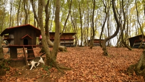 CAN DOSTLARINA 11 AYDA 132 TON MAMA