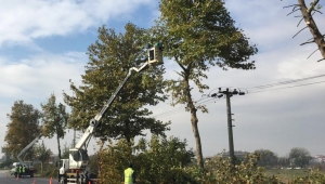 Kısıtlama günlerinde çalışmalar sürüyor