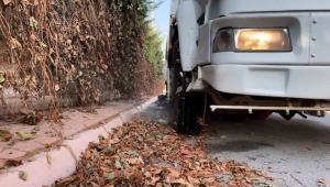 Kuru yapraklar dönüşüyor, gübre oluyor...