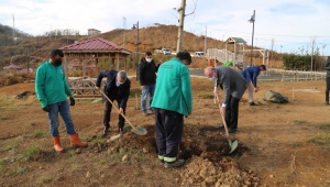 Rize Belediyesi 4 bin fidanı toprakla buluşturdu