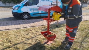 Sokağa çıkma kısıtlamasında Melikgazi'de sokak hayvanları unutulmadı