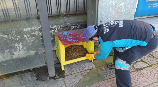 TRABZON BÜYÜKŞEHİR’DEN SAHİPSİZ CANLARA ÖZEL İLGİ