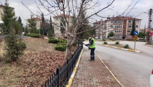 Park bahçeler müdürlüğü ekipleri faaliyet alanlarını artırıyor