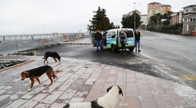 Sokak hayvanları için yem ve yiyecek bırakıldı