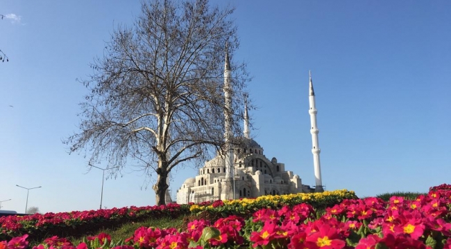 Büyükşehir, Trabzon’u çiçeklerle donatıyor
