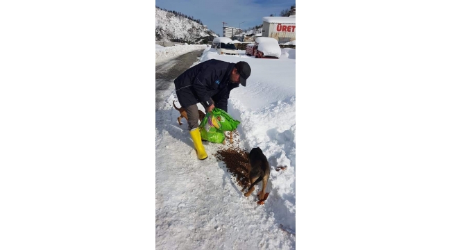 Sokak hayvanları unutulmadı