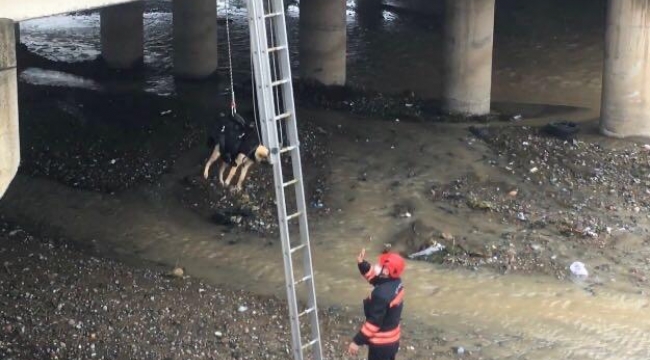 Büyükşehir ekiplerinden kurtarma operasyonu
