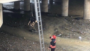 Büyükşehir ekiplerinden kurtarma operasyonu