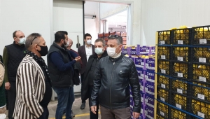 STB Heyeti Soğuk Hava Depolarını inceledi