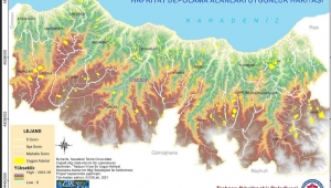 Trabzon Büyükşehir hafriyat depolama sorunu için çalışma yaptı