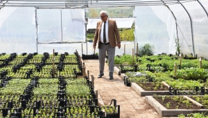 500 aileye 40 bin ata tohumu fidesi dağıtılacak 