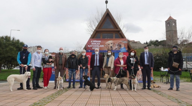 Büyükşehir'den sahipsiz canlara özel etkinlik