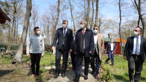 İl Ormanı Tabiat Parkı doğaseverlerin yeni gözdesi olacak