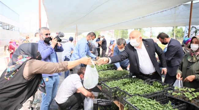 ARDEŞEN’DE, “FİDE BİZDEN ÜRÜN SİZDEN” TANITIMIYLA 10 BİN FİDE DAĞITILDI