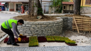 Safranbolu'da Çiçekler Toprakla Buluşuyor