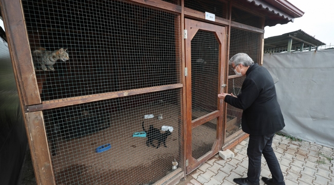 “Bu tesis yakında sokaktaki dostlarımızın yuvası olacak”