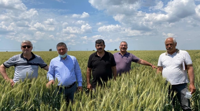 Halis Buğday, Trakya Çiftçisinin Yüzünü Güldürdü