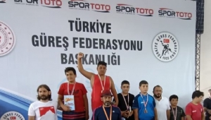Hendek Belediyesi Güreş Takımı'ndan büyük başarı