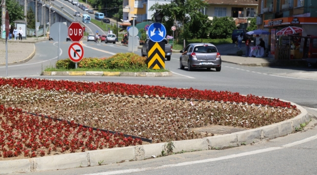  Rize begonya açtı...