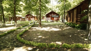 Baştan sona yenilenen Büyükşehir İl Ormanı sezonun gözdesi olacak