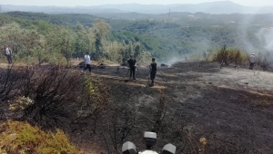 Ereğli’deki Orman Yangını, Kontrol Altına Alındı