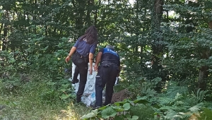 Kartepe'de ormanlar kontrol altında