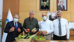Topraktan sofraya Ata Tohumu