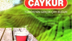Çaykur 3. sürgün yaş çay alımlarıyla ilgili açıklama geldi