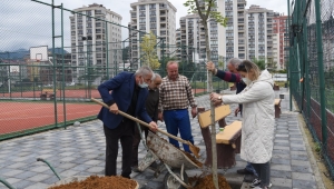 Görele Belediyesi ağaçlandırma çalışmalarını sürdürüyor