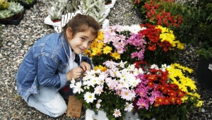 PSB Anatolia, 30 bine yakın misafiri ağırladı