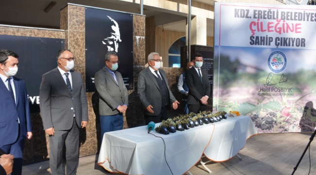 Kdz. Ereğli Belediyesi, Osmanlı Çileği Fidesi Dağıtacak