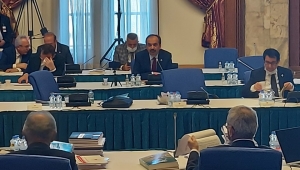 Balta, Çevre, Şehircilik ve İklim Değişikliği Bakanlığının 2022 Bütçe Görüşmelerinde AK Parti Grubu adına söz aldı