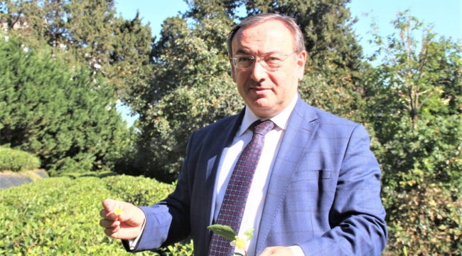 ÇAYKUR'UN 8. ÇAY SATIŞ MAĞAZASI DİYARBAKIR'DA AÇILIYOR