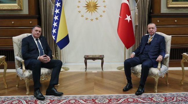 Cumhurbaşkanı Erdoğan, Bosna Hersek Devlet Başkanlığı Konseyi Üyesi Dodik'i kabul etti